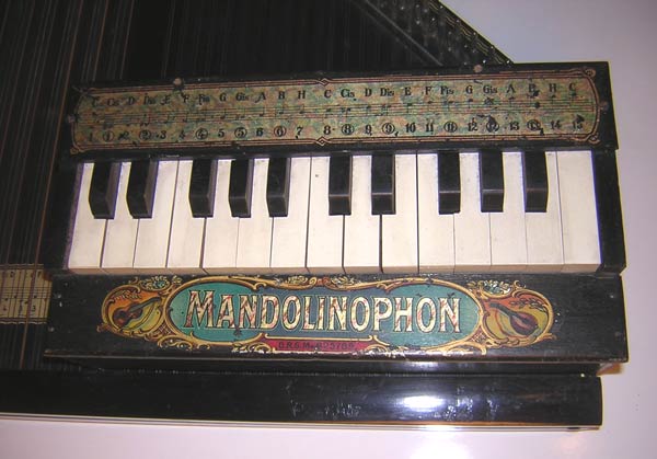 b_Mandolinophon